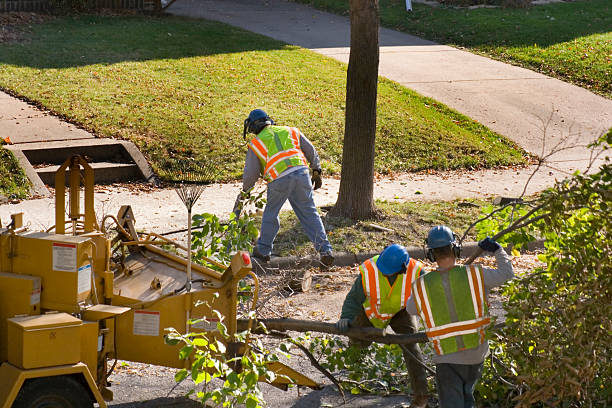 Lawn Grading and Leveling in Lakewood, IL